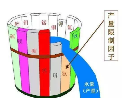 别再只上氮磷钾了！原来土壤缺的是它！