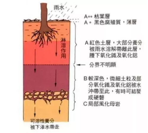 基本的土壤知识，是我最想分享给你的！