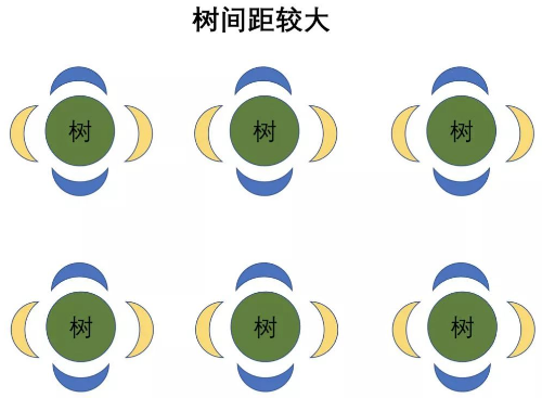 基本的土壤知识，是我最想分享给你的！