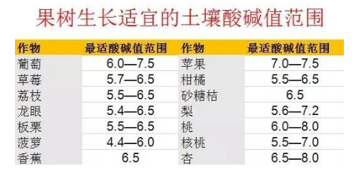 震撼！约3.7亿亩耕地，需要进行土壤改良······
