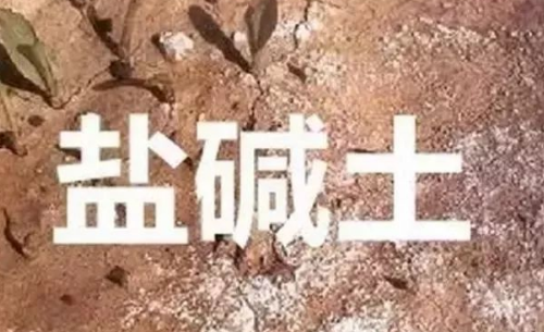 沙土、黏土、盐碱土，浇水施肥有讲究