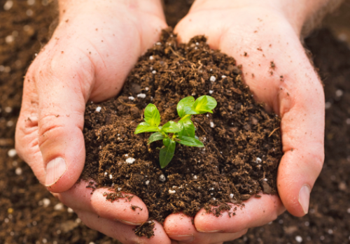 耕地保护，要强化土壤改良修复和地力培肥！
