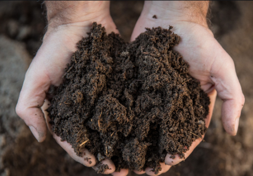 施肥，并不是将肥料施入土壤这么简单，需要我们去考虑的因素很多.....