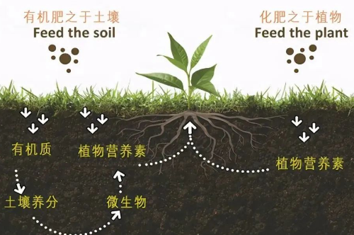 改良土壤，你不做，我也不做，那谁来做？