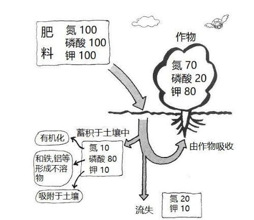 事关耕地！自然资源部通报56个违法违规重大典型问题→