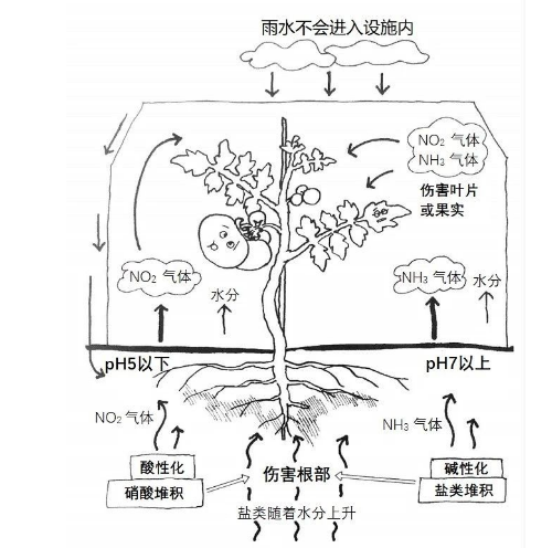 事关耕地！自然资源部通报56个违法违规重大典型问题→