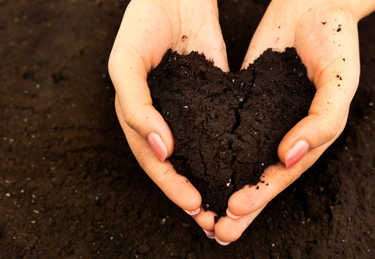 土壤熟化的方法包括深耕、施肥、种植绿肥等→
