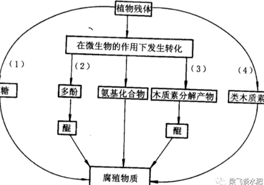 有机肥不等于土壤有机质，不是施有机肥就是增加土壤有机质