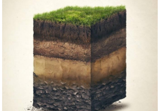 有机肥不等于土壤有机质，不是施有机肥就是增加土壤有机质