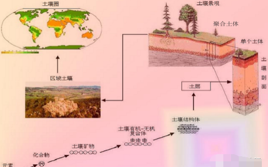 有机肥不等于土壤有机质，不是施有机肥就是增加土壤有机质