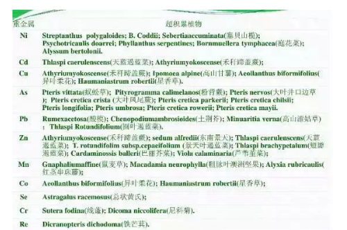 工农业污染土壤修复技术大全