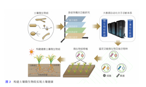 土壤微生物组与土壤健康