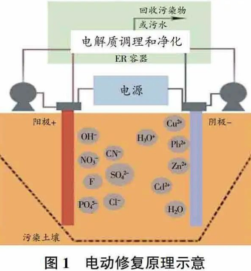 普及土壤修复技术的种类及优缺点