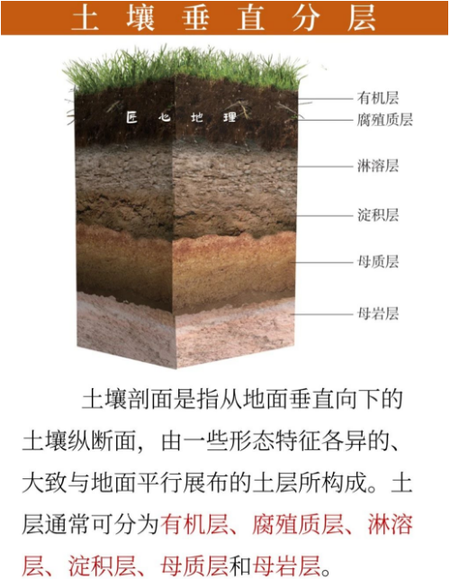土壤的相关知识！