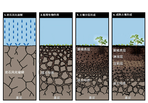 土壤的相关知识！