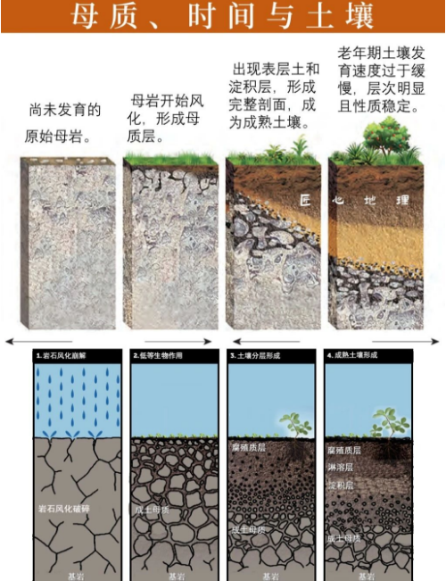 土壤的相关知识！