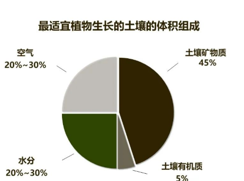 土壤的相关知识！