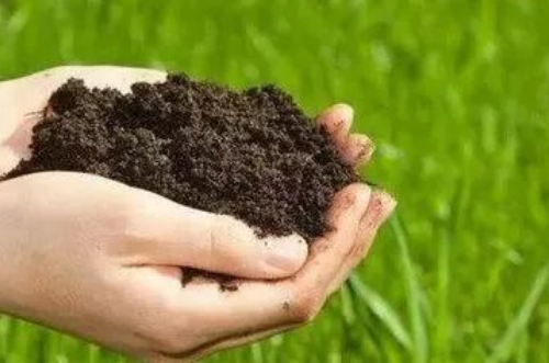 土壤修复之土壤铅污染修复方法