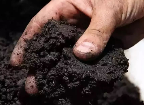 土壤有机质的13大作用！土壤没了肥力种啥都不行