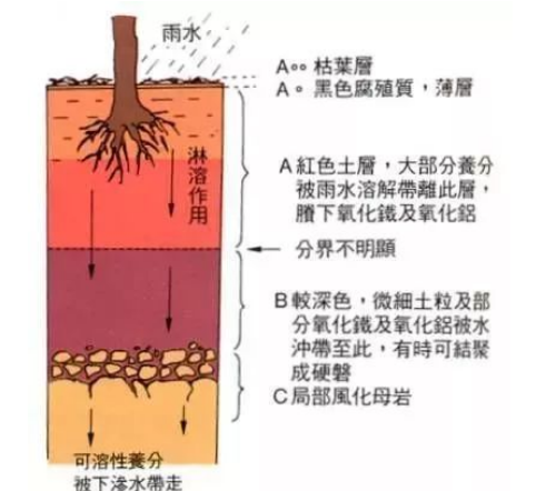 最全的土壤知识，一定要看！