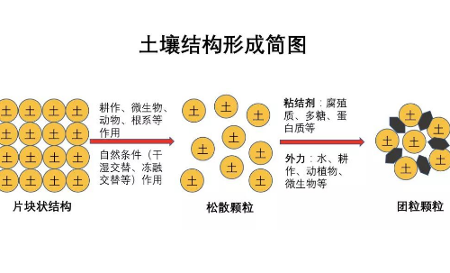 最全的土壤知识，一定要看！