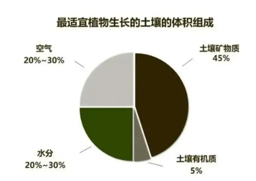 “土壤肥力”到底是什么？提高肥力提高的什么？一句话弄懂了