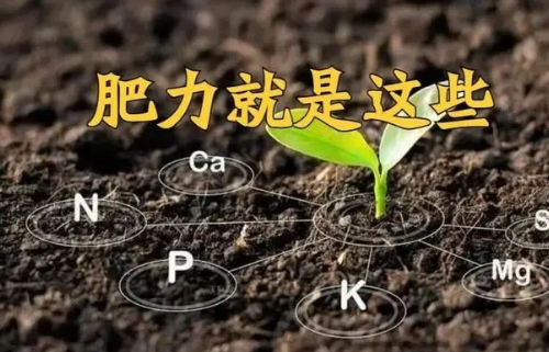 “土壤肥力”到底是什么？提高肥力提高的什么？一句话弄懂了