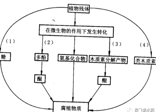 有机肥不等于土壤有机质！