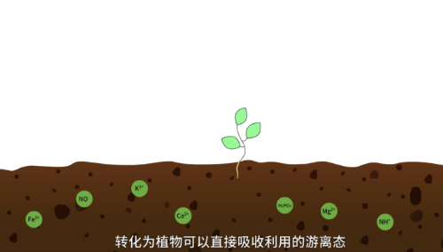 人工土壤沙地改良机理