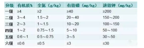 土壤是地球生物圈的重要的组成部分，是农业和自然生态系统的基础。正是由于其特殊性质——肥力，才使得绿色
