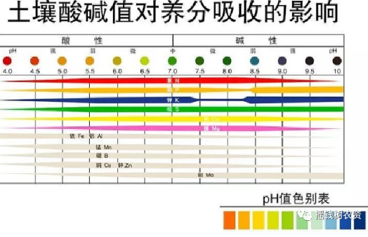 作物土传病害主要有哪些？发生原因和防治方法如何？