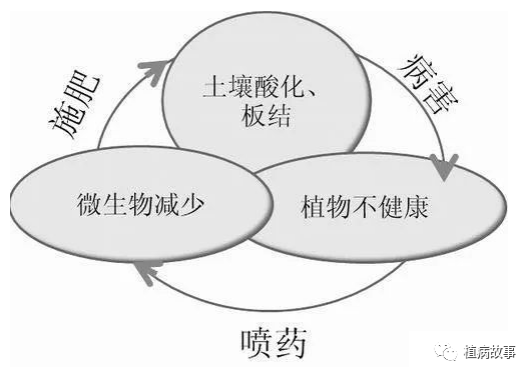 作物土传病害主要有哪些？发生原因和防治方法如何？