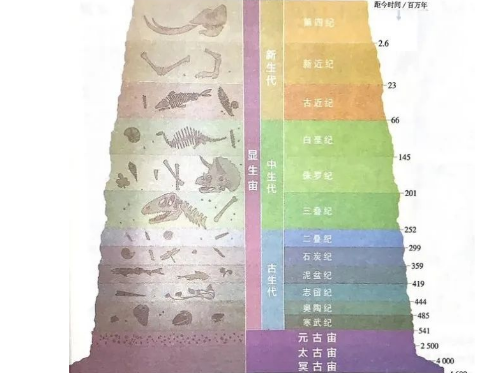 从土到食：我们95%的食物来自于土壤