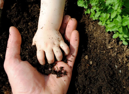 从土到食：我们95%的食物来自于土壤