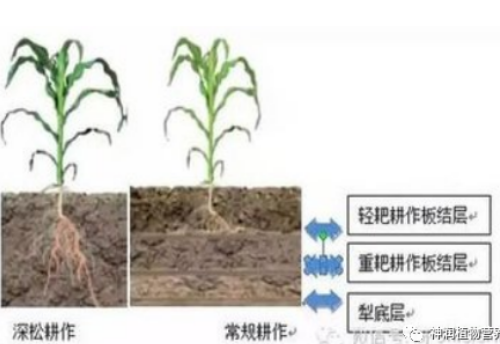 土壤存在的问题，你都知道多少？