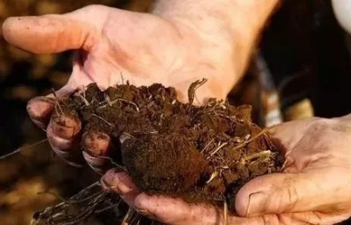 土壤改良的3大要素，也是影响土壤作物健康的3大要素