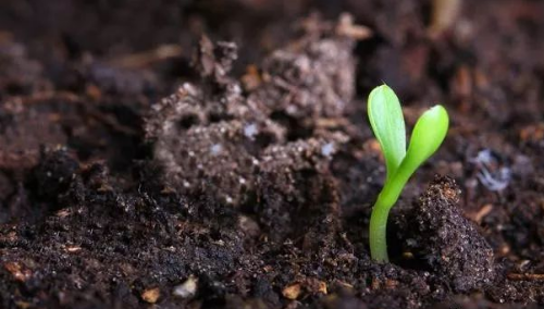 史上最全最完整的土壤知识！要想种出好水果，先从了解土壤开始！