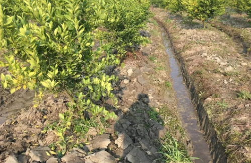 【农业基础知识】基本土壤知识