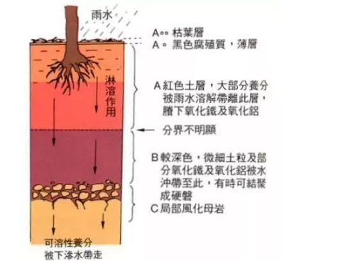 【农业基础知识】基本土壤知识