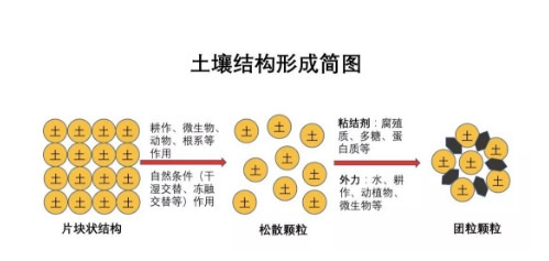 【农业基础知识】基本土壤知识