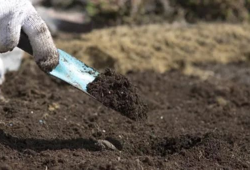 土肥《土壤“有病”的六大表现》