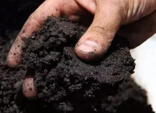 土壤有机质的13大作用！