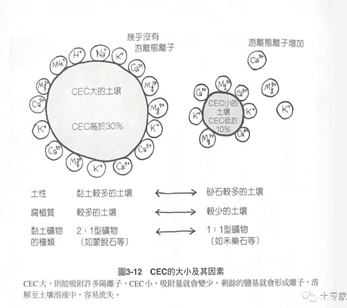 土壤的保肥力