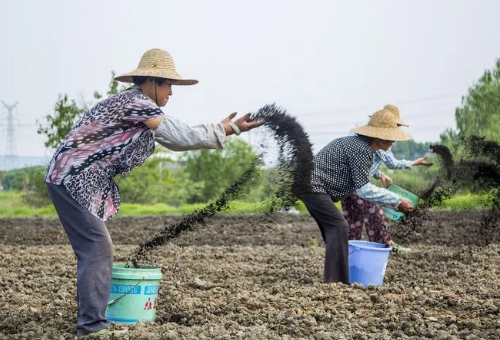 【中医农业】：整治土壤亚健康势在必行