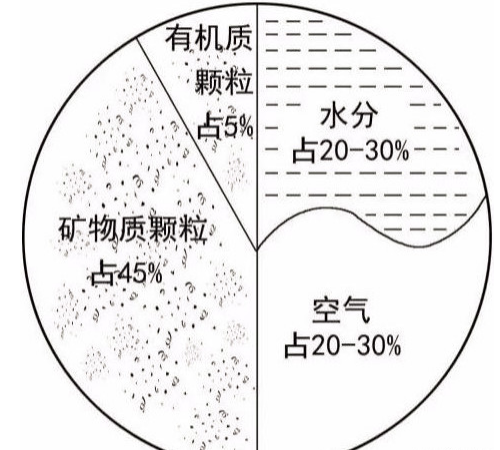 土壤养护小知识