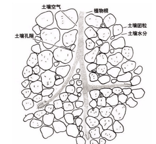 土壤养护小知识