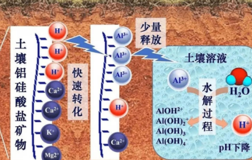 土壤酸化的危害和成因分析