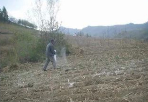 怎样判断土壤肥瘦？10个小妙招，一看就透！