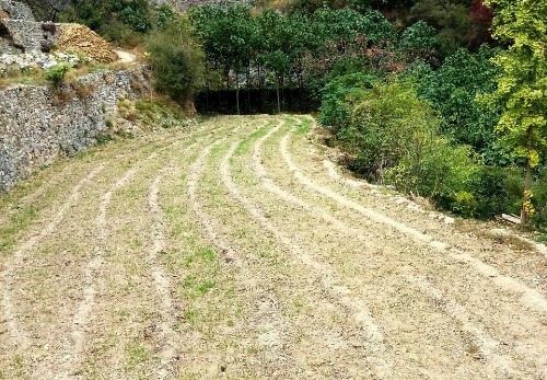 怎样判断土壤肥瘦？10个小妙招，一看就透！