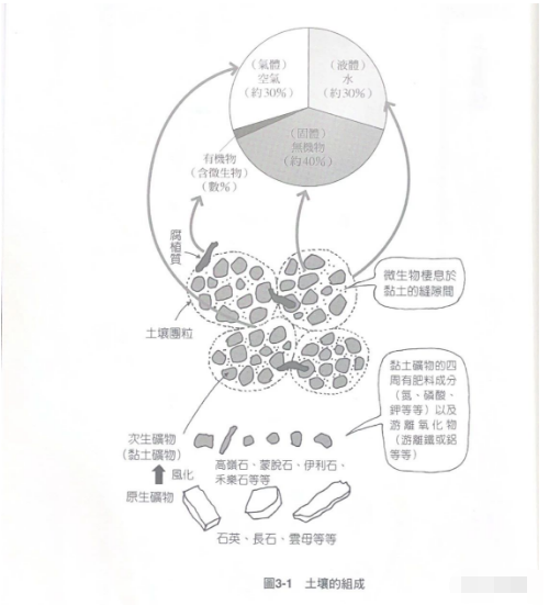 土壤的构成及何谓地力